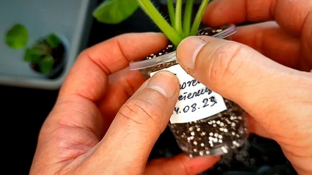 СЛЕДИМ ЗА ПРАВИЛЬНЫМ РАЗВИТИЕМ ДЕТОК !!! Что необходимо делать. смотреть онлайн
