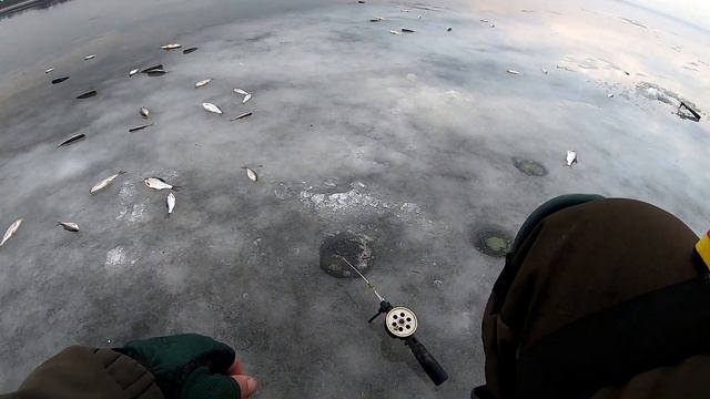 ЛОВЛЯ ПЛОТВЫ ЗИМОЙ ДНЕПР смотреть онлайн