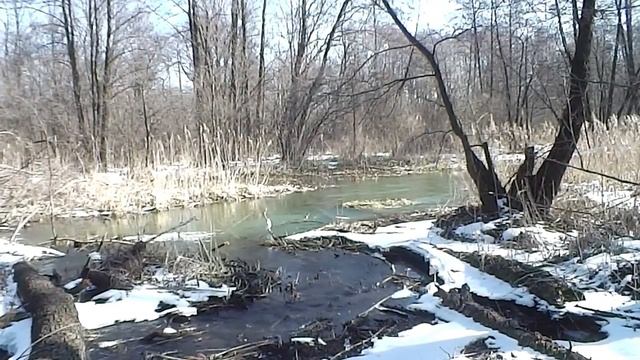Усманка (Орлово - Хреновое) смотреть онлайн