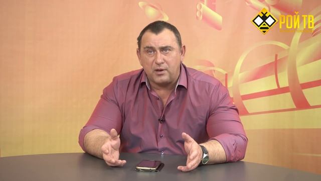 Скинемся на Нотр-Дам де Пари смотреть онлайн