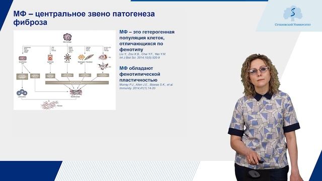 Характеристика понятия, виды и факторы риска хронического воспаления смотреть онлайн