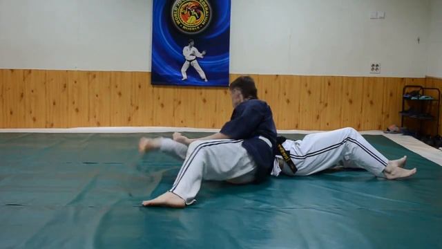 Всемирная Федерация Джиу-Джитсу и Кобудо (WJJF/WJJKO) смотреть онлайн