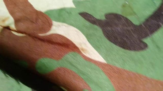 18.04.2021 рыбалка на о. Арахлей (палатка, ветер, клюёт булус) смотреть онлайн