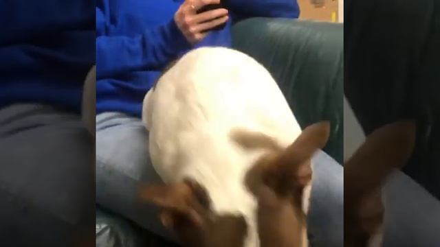 Dont Be All Mean Mr.Bubz смотреть онлайн