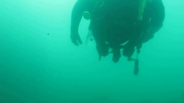 mares x-stream fins...first try! смотреть онлайн