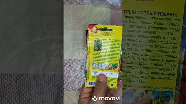 ОБЗОР ОСТРОГО ПЕРЦА ОСТРЫЙ ЯЗЫЧОК. ОГОРОД НА КУБАНИ. shorts# смотреть онлайн