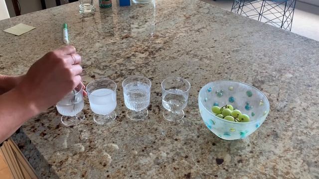 Salt Water Density Experiment | Daycare Activities смотреть онлайн