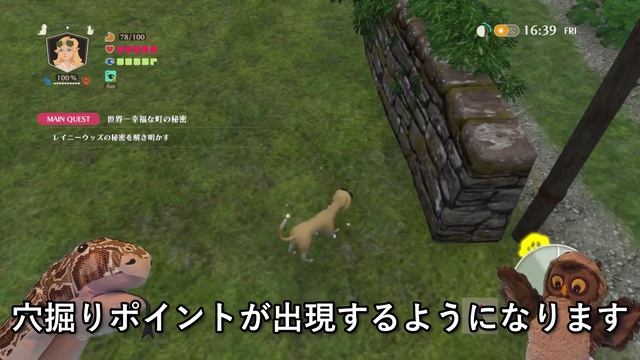 Rainy Woods通信 Vol.4 смотреть онлайн