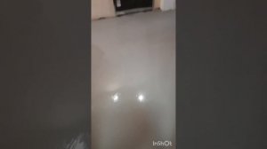 Наливной пол на деревянный