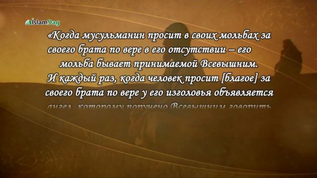 Как постоянно находиться в обществе ангелов смотреть онлайн