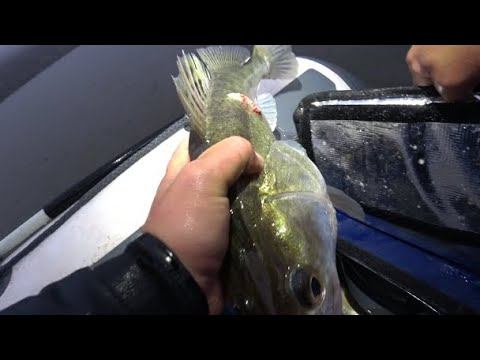 ПОЙМАТЬ И ПЕРЕТЕРПЕТЬ ЛЮБОЙ ЦЕНОЙ! РЫБАЛКА НА СПИННИНГ смотреть онлайн