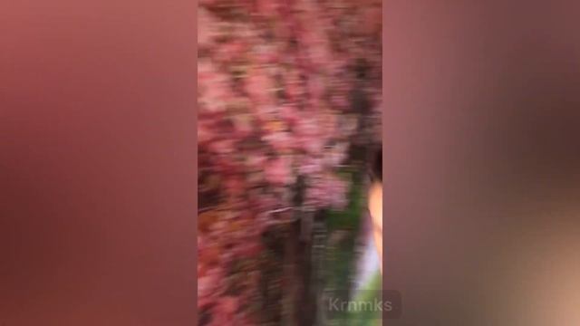 БЕЗУМНЫЙ ПАША ПРОПУСКАЕТ УДАР ПО ПЕЧЕНИ ИРИШКА ЧИКИ ПИКИ смотреть онлайн