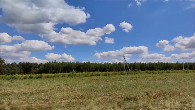 Прибрежный парк. Видовые участки на берегу обзор участка 1504 смотреть онлайн