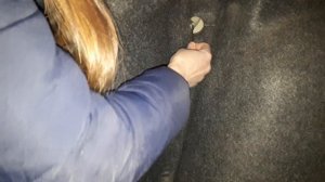 Замена заднего фонаря пежо 307  делают девушки)