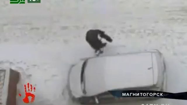 Сосед-вредитель портит машины смотреть онлайн