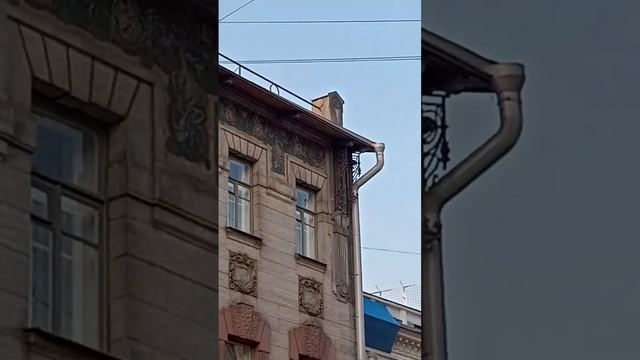 Санкт-Петербург типичный Питер СПб архитектура Царской России лепнина ковка центр Адмиралтейская