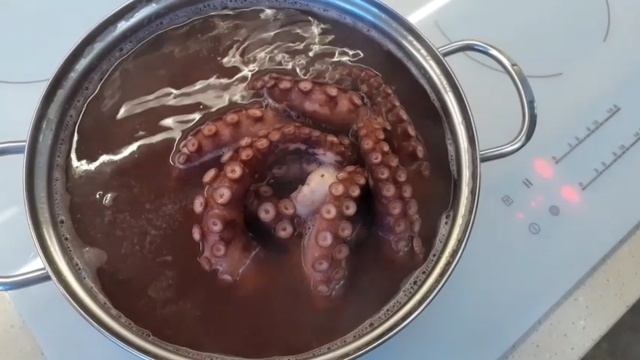 Знакомство с осьминогом. Наш первый опыт. Как готовить осьминога. Надо ли чистить осьминога.