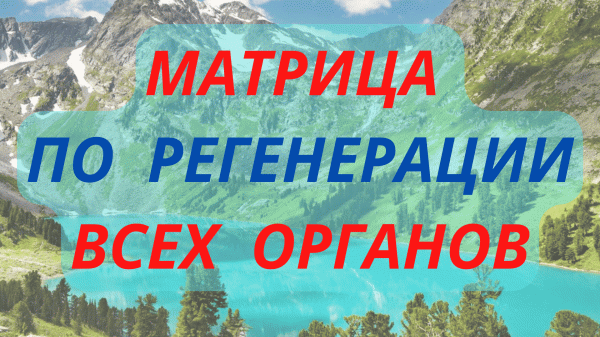 Редкая и Единственная Матрица по Регенерации Всех Органов