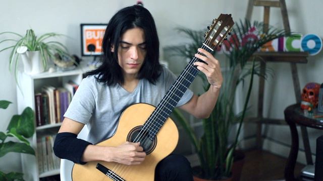 Dirtmouth (from Hollow Knight) Guitar Cover/Marco Cárcamo смотреть онлайн