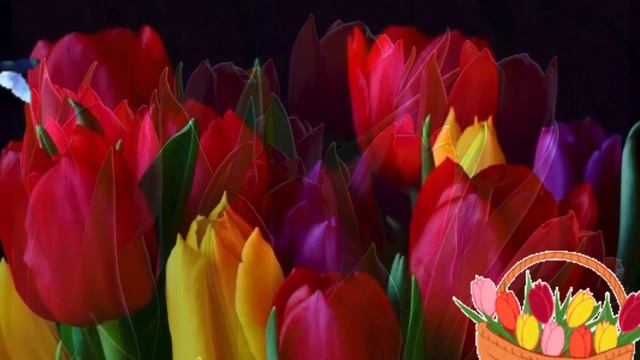 Поздравляю с 8 марта! Красоты и нежности, мира и добра! смотреть онлайн