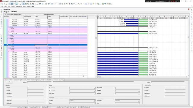 P6 Export / Import & Global Change смотреть онлайн
