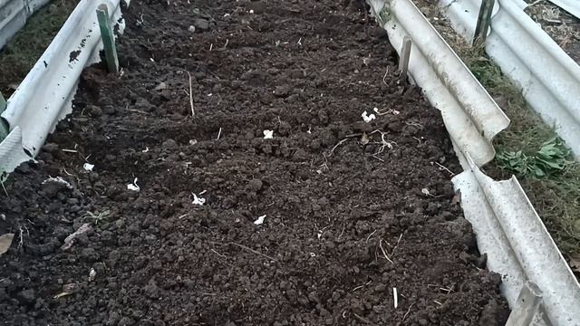 посадила чеснок, купили дрова смотреть онлайн