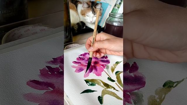 Пион акварелью с натуры. смотреть онлайн