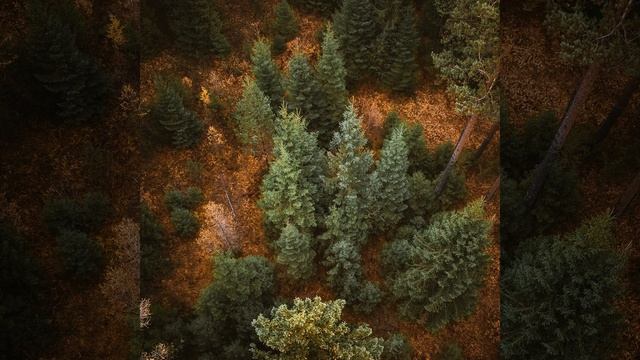 Крепкий сон Приятный белый шум смотреть онлайн