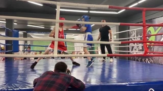 Соревнования по боксу .45 кг. Красный угол??? смотреть онлайн