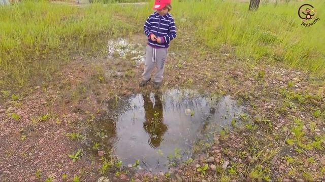 Машинки в луже, домашний кролик, и необычная бетономешалка. МанкиТайм. смотреть онлайн