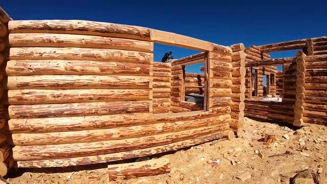 Сруб пятистенок 9х10 из бревна ручной рубки. Производство компании Изба смотреть онлайн