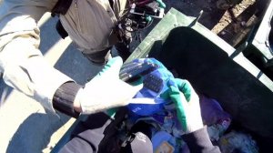 Нашли огромное количество телефонов. Находки на мусорке.