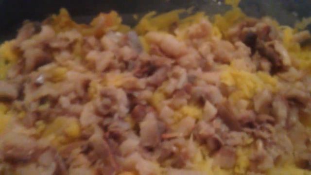 Домашние Животные и Их Уход