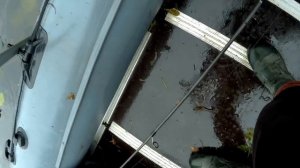 Щука на вертушку в зарослях травы. Попытка поймать капризного голавля
