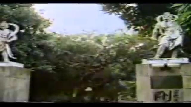 Gogen Yamaguchi - The Cat смотреть онлайн