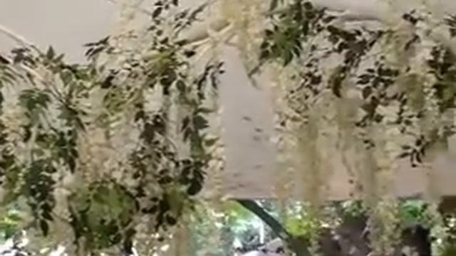 Свадебная арка в аренду смотреть онлайн