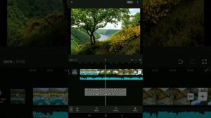 Как монтировать в Capcut видео коллаж из фотографий