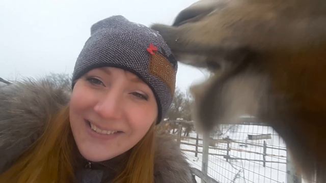 Зоопарк видео смотреть онлайн