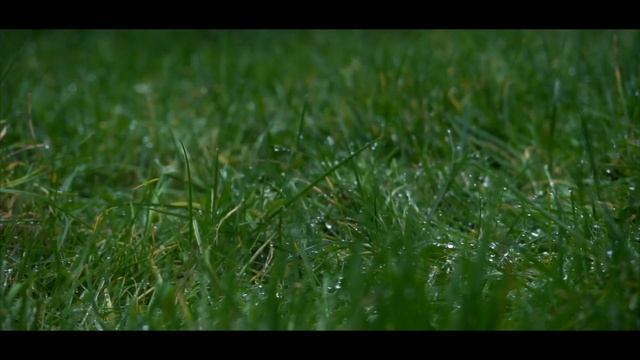 Sony a5000 cinematic test shots смотреть онлайн