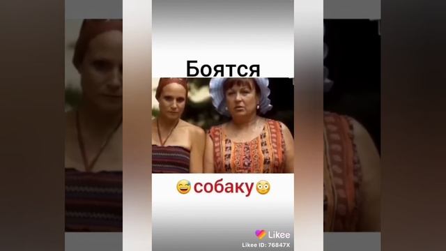 суд сваты из лайка . смешные видео ролики. смотреть онлайн