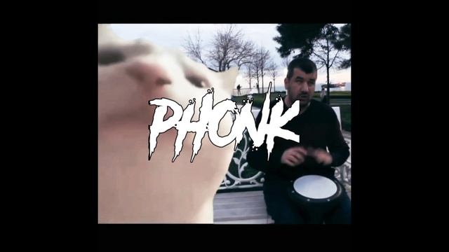 Levan Polkka | PHONK Remix