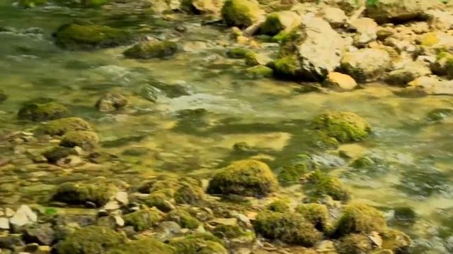 Грот Симона Кананита смотреть онлайн