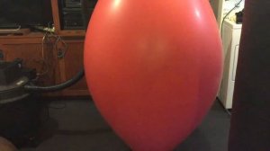 Red Climb In Balloon Play in zentai 2
