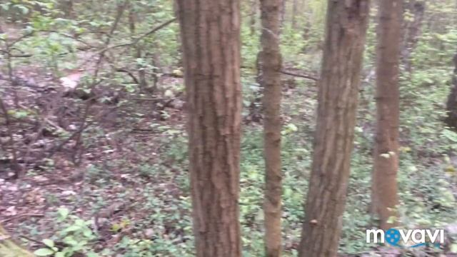 Строчки гигантские.