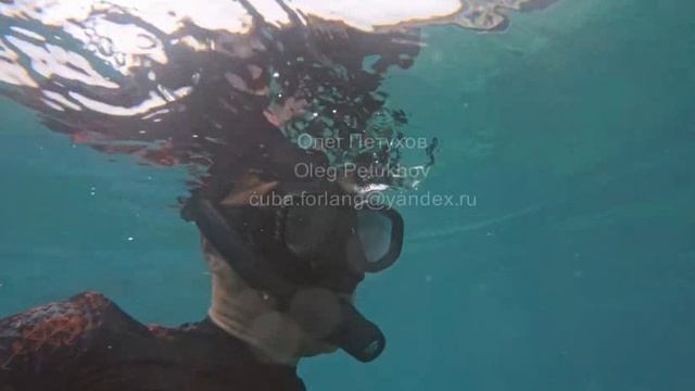 Куба. Cuba. 古巴。 122