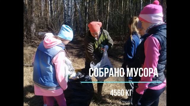 практика воспитательной работы "Школа Эковолонтера" смотреть онлайн