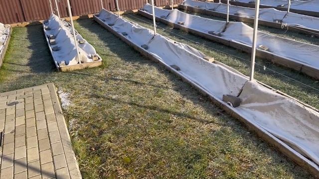 18 ноября 2023 г. смотреть онлайн