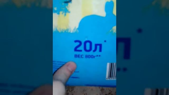 16 день как родились хомячки что нужно для хомяков смотреть онлайн