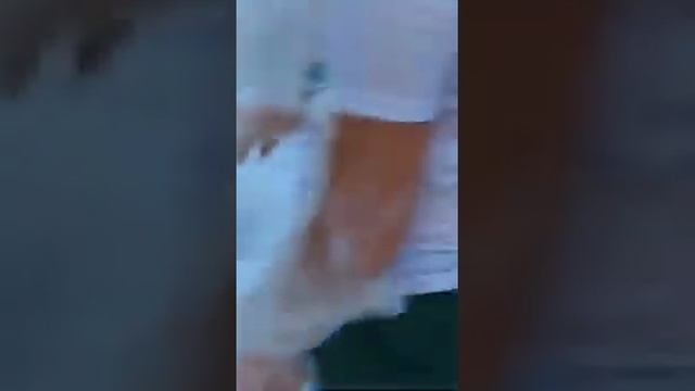 Video 2022 08 31 13 52 06 смотреть онлайн