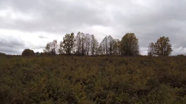 Дратхаар Валдан. Осенний коростель смотреть онлайн